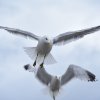 Blick von Bord 2017