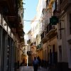 Cadiz 2019