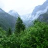 Flaam 2017