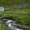 Flaam 2017