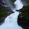Flaam 2017