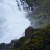 Flaam 2017