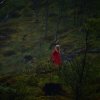 Flaam 2017