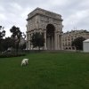 Genua 2019