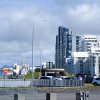 Reykjavik Tag 1