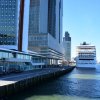 Rotterdam 2019