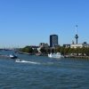 Rotterdam 2019