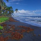 Kingstown (Saint Vincent)