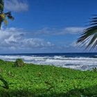 Kingstown (Saint Vincent)