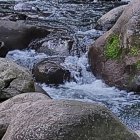 Kingstown (Saint Vincent)