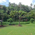 Kingstown (Saint Vincent)