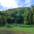 Kingstown (Saint Vincent)