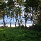 Kingstown (Saint Vincent)