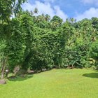 Kingstown (Saint Vincent)