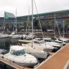 Vigo 2019
