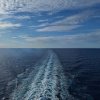2025 MSC Splendida