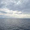 2025 MSC Splendida
