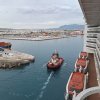 2025 MSC Splendida